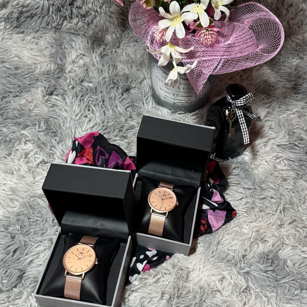 NWT—Gianello Stainless Steel Mesh Sleek Watch — Perfect Valentine’s Gift 🎁 💝
